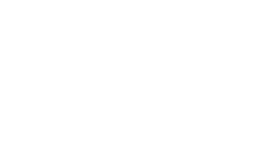 The Nash Villa logo